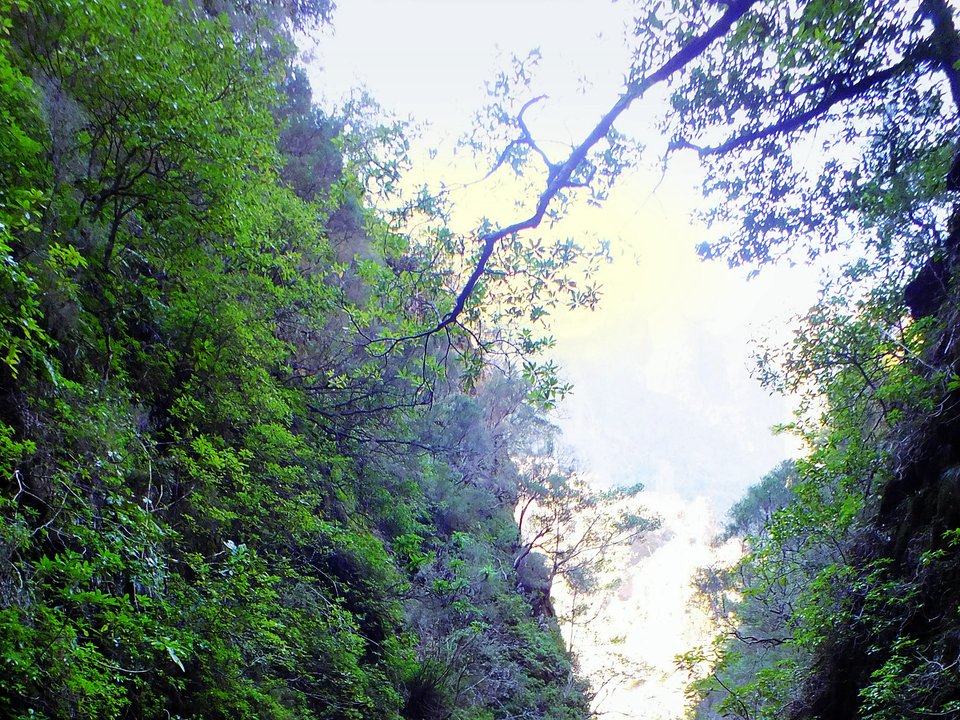 Contouring irrigation conduit of Levada Nova do Juncal approaching Câmara de Carga do Pico da Nogueira in Santana