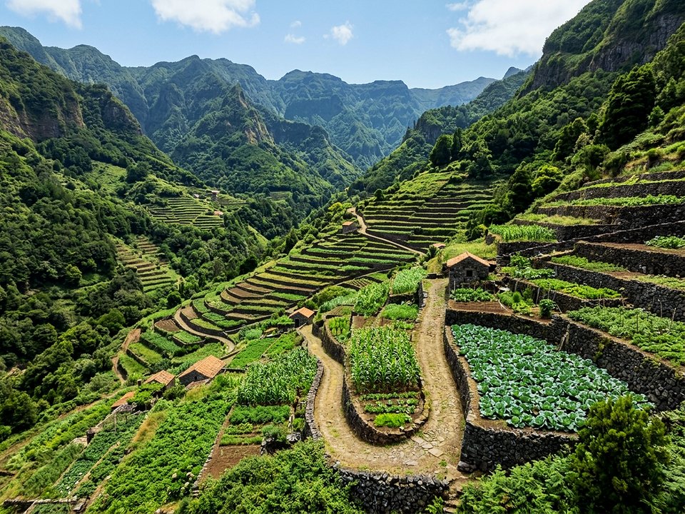 Traditional stone-walled poios terraces and rural footpaths in the valley of Achada do Marquês