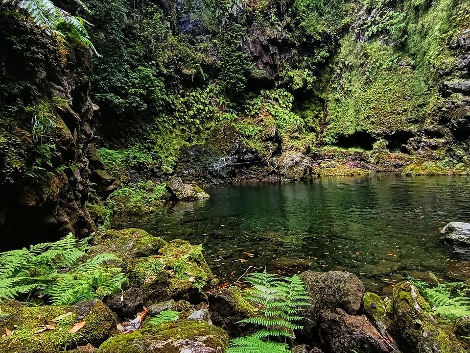 Pristine turquoise freshwater plunge pool framed by sheer canyon rock walls