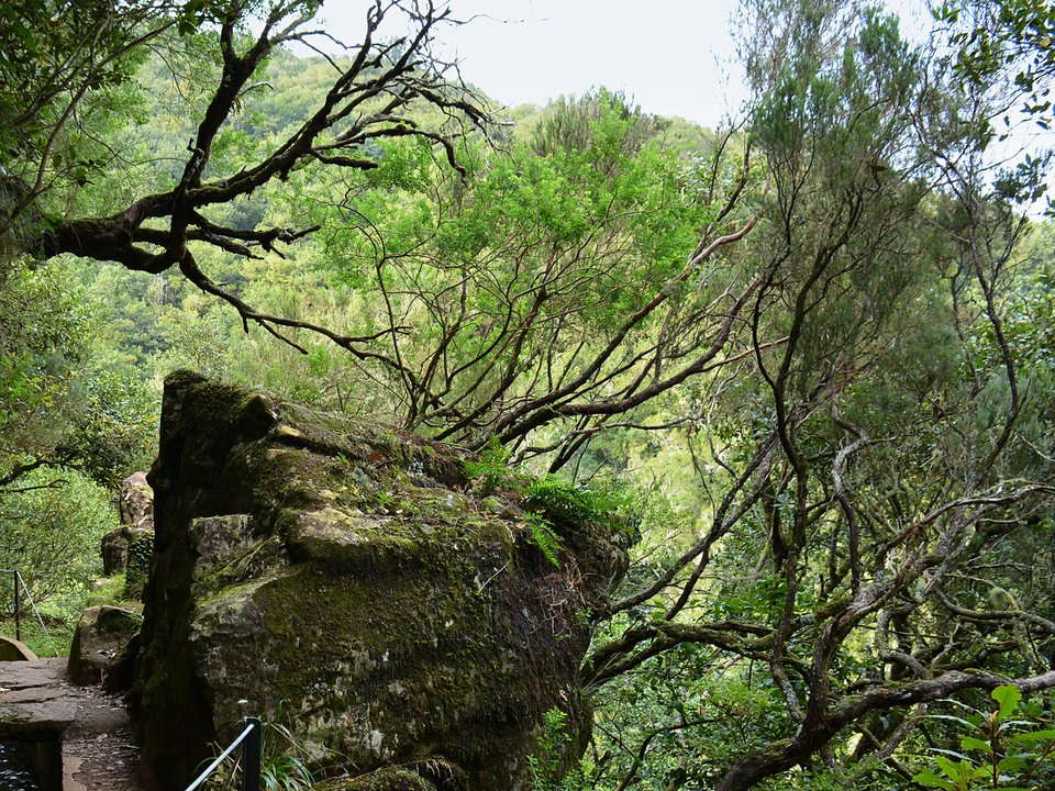 Cliff-edge walkway and rock-cut tunnel entrance between Ribeiro Frio and Lamaceiros on PR 10