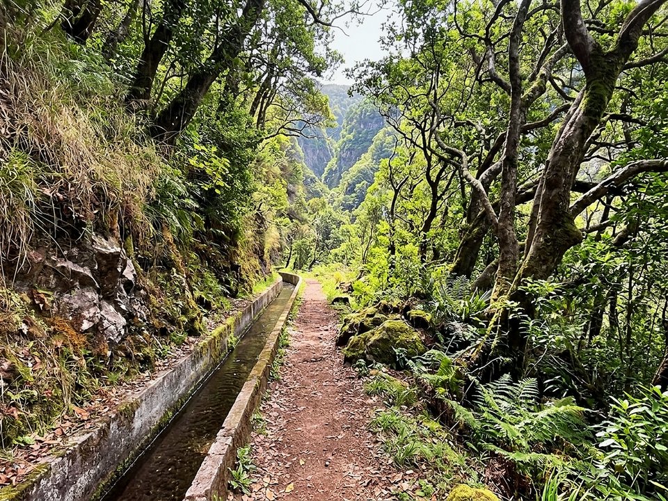 Deep river canyon and terraced valley slopes along PR 15 Vereda da Ribeira da Janela