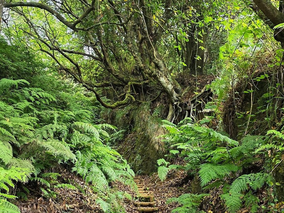 Historic footpath connecting Curral Falso with the coast of Ribeira da Janela