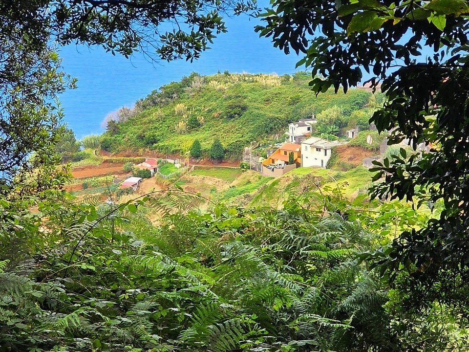 Lush subtropical agricultural terraces and vineyards along the valley on PR 15