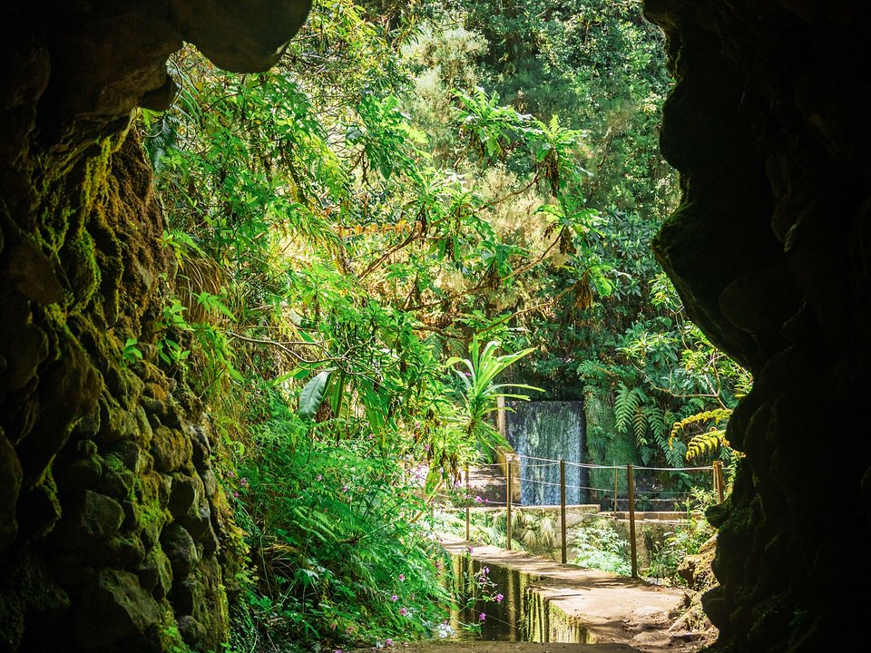 Dramatic canyon waterfalls and wet rock-hewn steps along PR 17