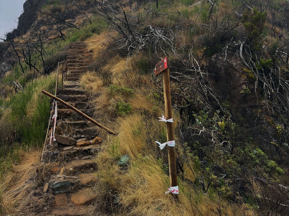 Stone trail descending through lush vegetation between Curral das Freiras and Boaventura