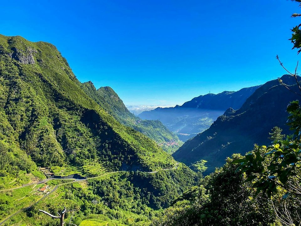 Wild mountain valley and forested ravines along PR 2