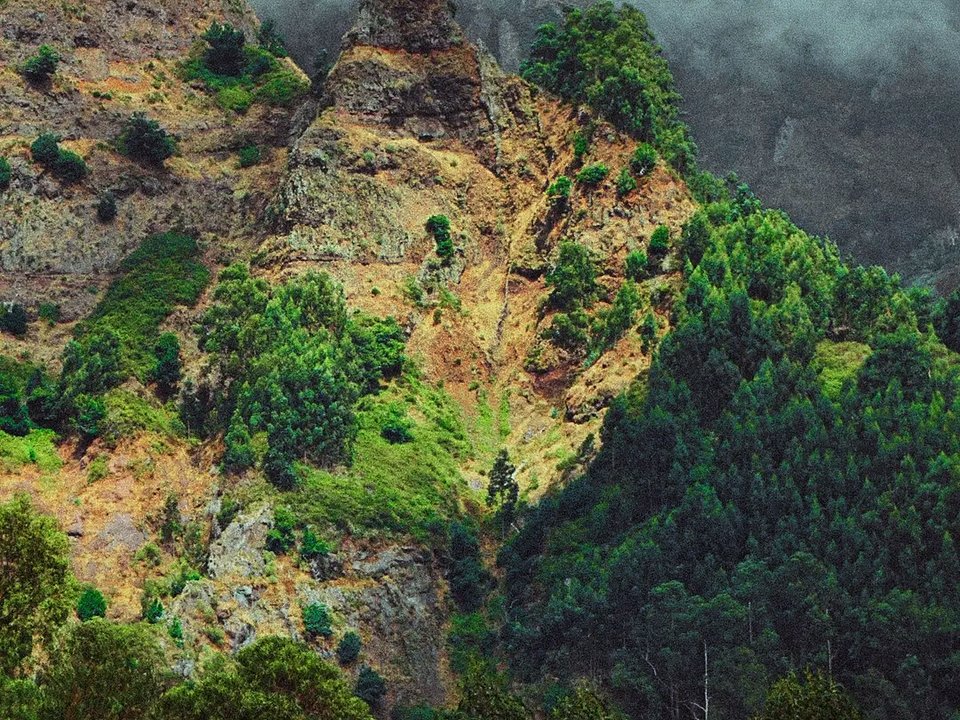 Remote high-valley landscape and native ferns along the Vereda do Urzal trail
