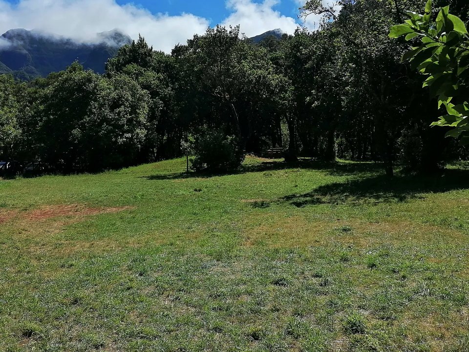 Tranquil laurel forest loop and picnic grounds at Chão dos Louros on PR 22