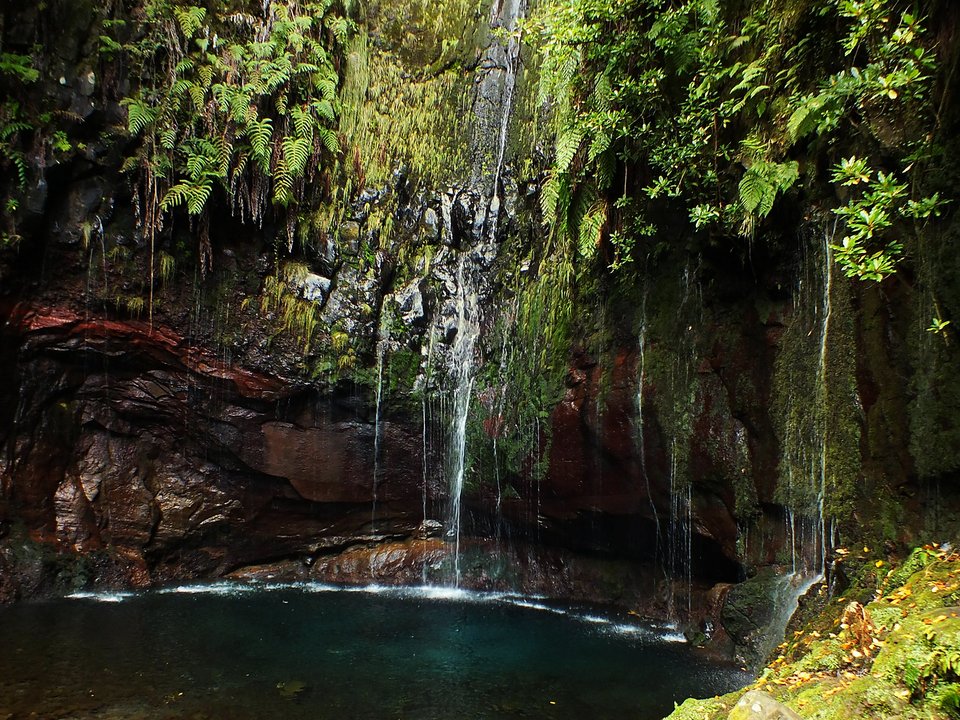 Fern-draped basalt amphitheatre and spring cascades at Lagoa das 25 Fontes in Rabaçal