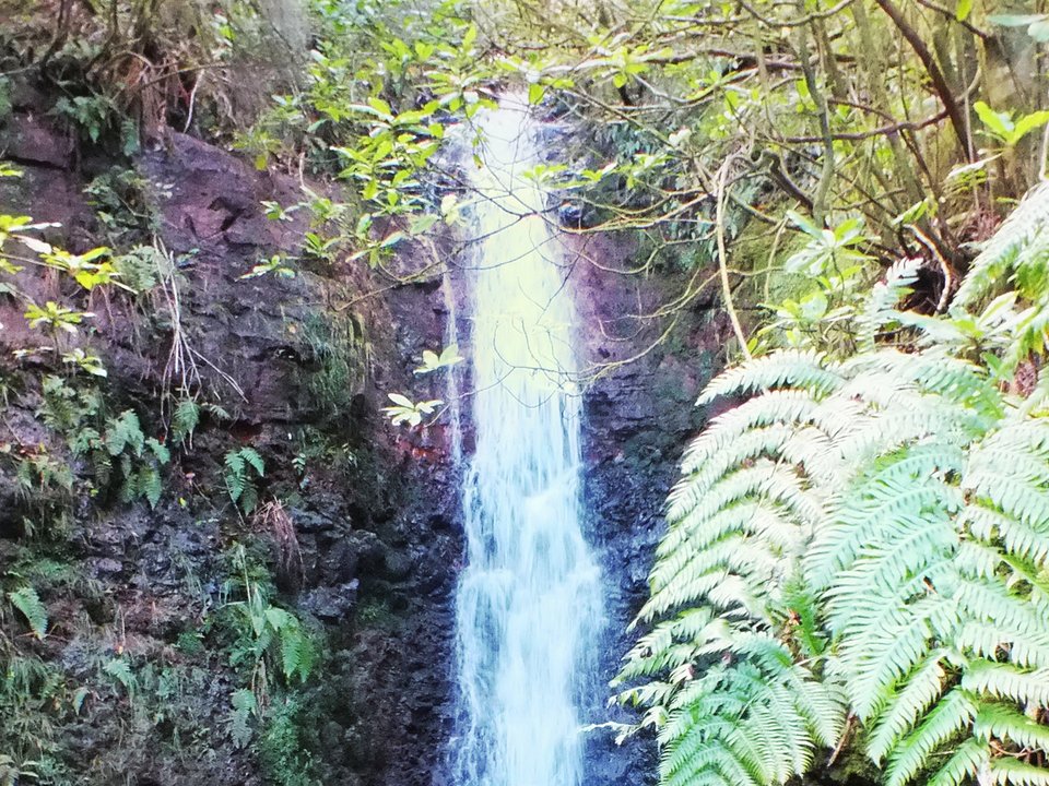 Clear pool and cascade in the moss-lined Ribeira da Cruz headwater gorge at the PR 7 water intake