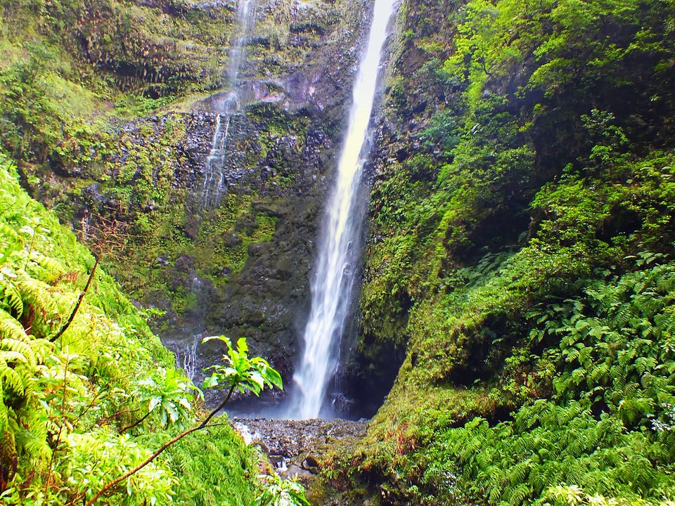 Wide leaf-strewn forest promenade and mossy channel wall near Queimadas on PR 9