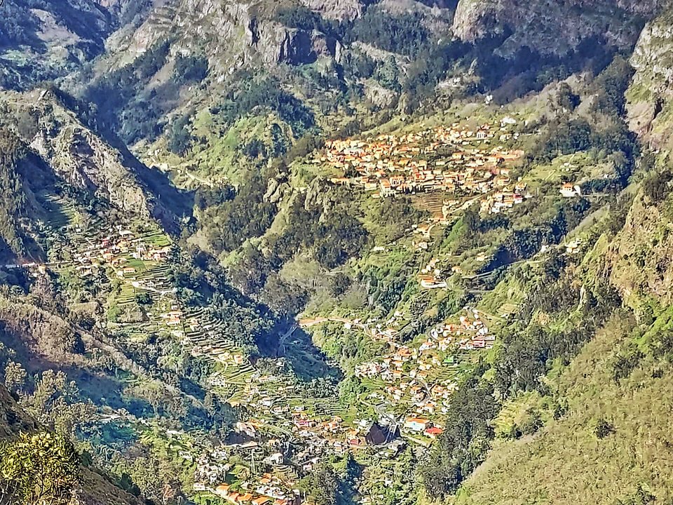 Pine forest trail and high mountain vistas at Boca dos Namorados