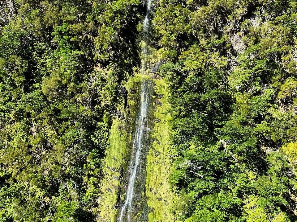Forest footpath winding through the upper river valley toward Vereda da Cavaca