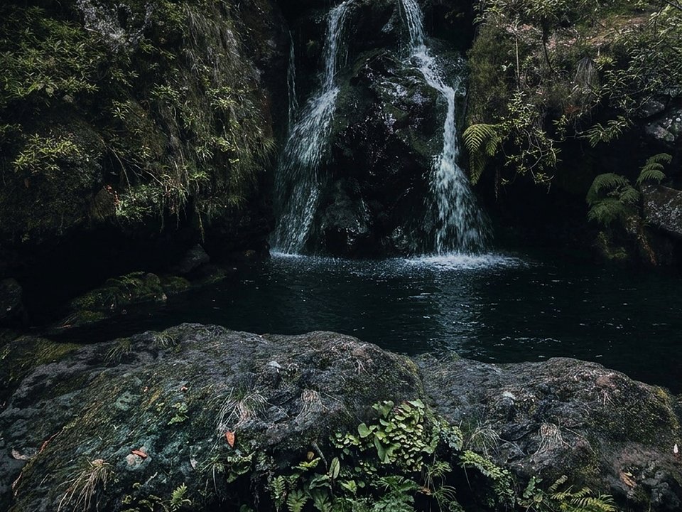 Natural freshwater waterfall and tranquil rock pool sheltered within the forest canyon
