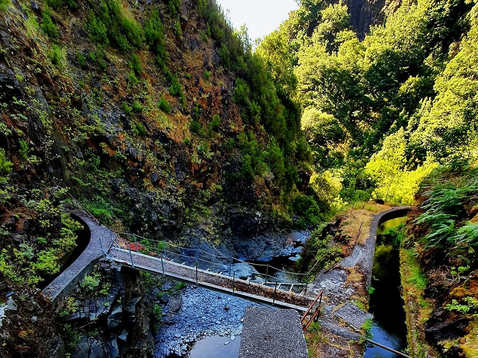 Towering canyon walls and pristine cloud forest canopy surrounding the waterworks