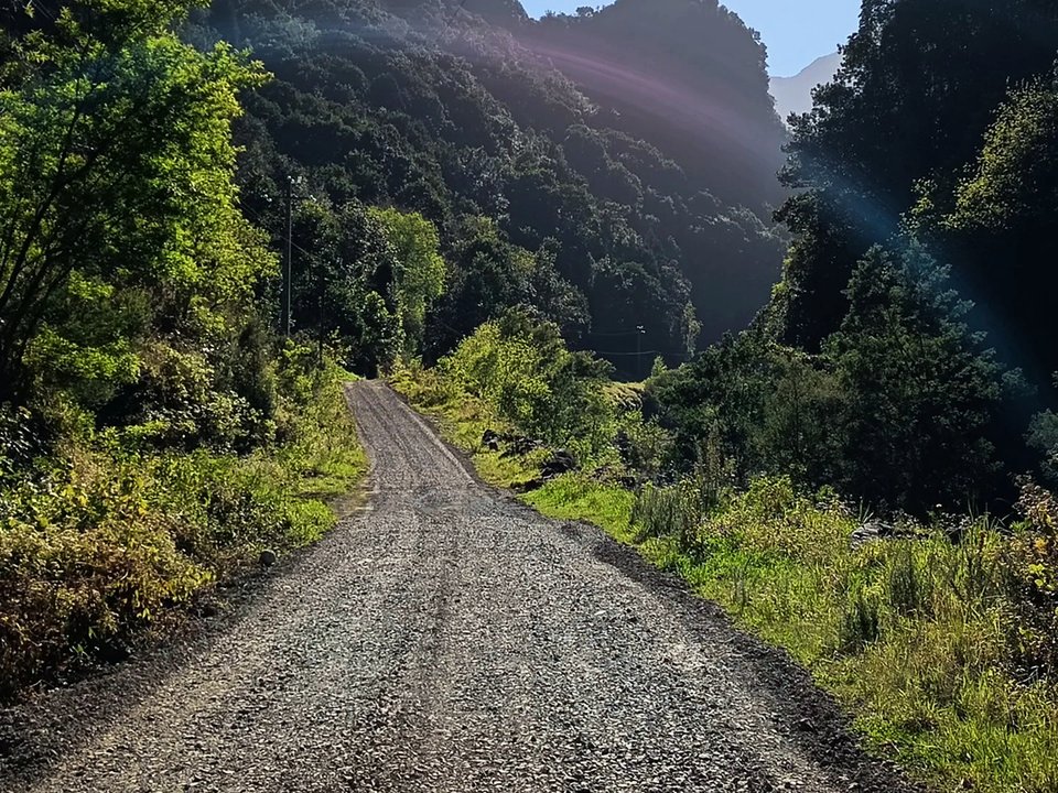 Deep green gorge trail following the fast-flowing mountain torrent through ancient Laurissilva