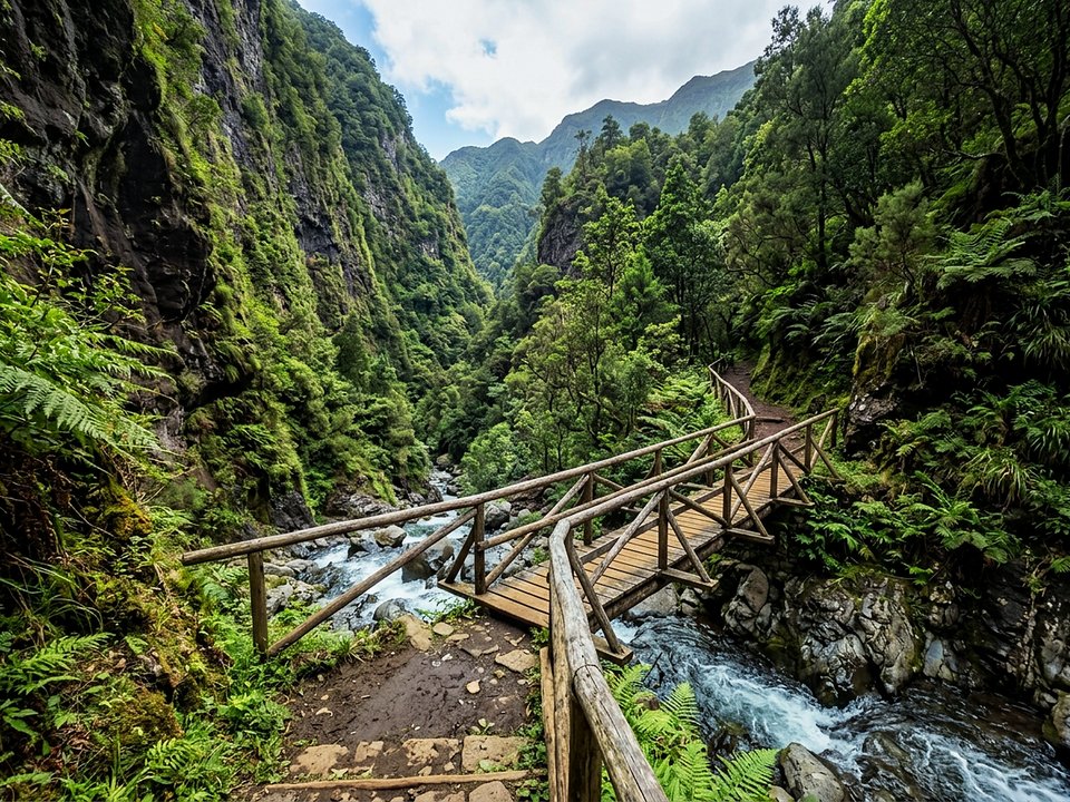 Rustic wooden footbridge spanning the pristine mountain torrent in the Ribeira da Janela canyon