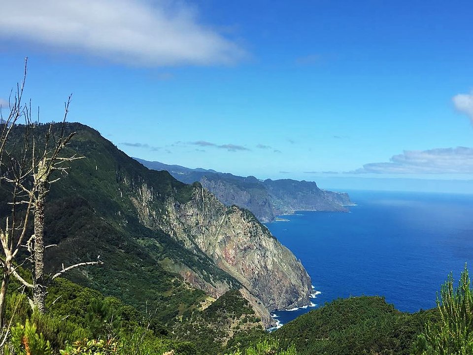 Mountain ridge trail ascending through pine and heather toward Pico Castanho in Machico