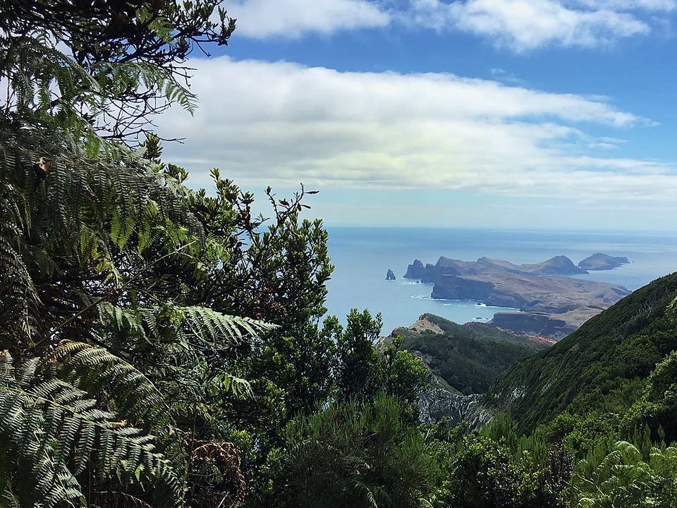 Summit vista from Pico Castanho overlooking Caniçal and the eastern peninsula